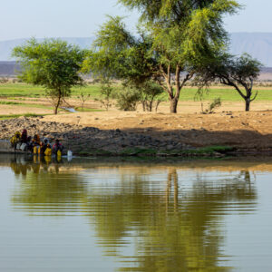 Tales of the Djibouti By Camille Massida